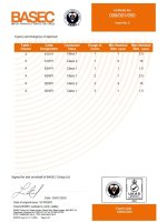 BASEC Sertifikatas 099/001/050 lapas 2 6181Y, 6241Y, 6242Y, 6243Y