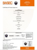 BASEC Sertificate No.099/001/051 Page1