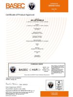 BASEC Sertificate No.099/001/052 Page1